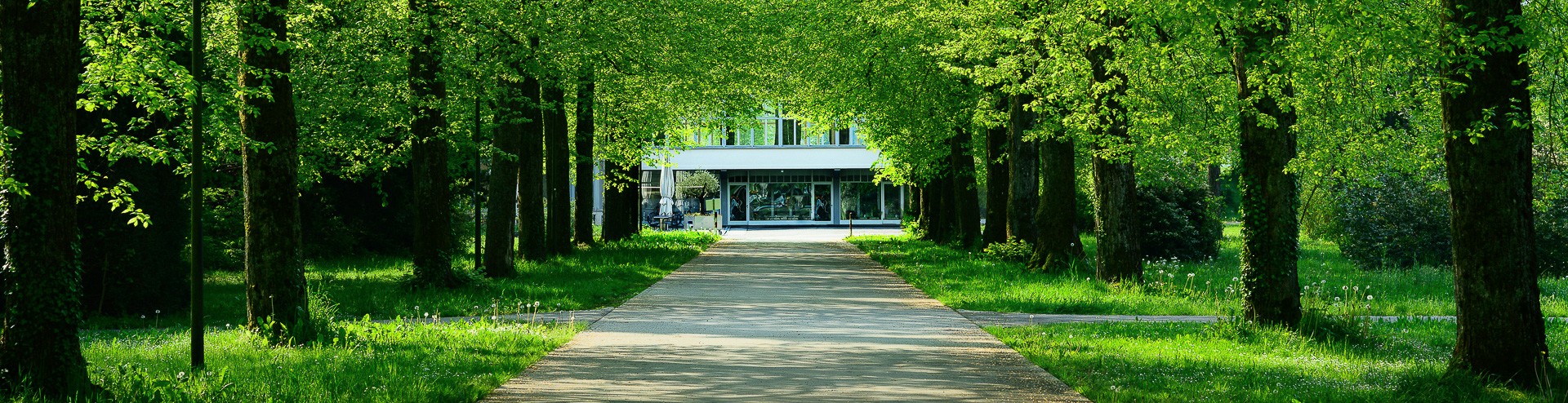 Erbrecht - bäuerliches Bodenrecht - Baurecht - landwirtschaftliches Pachtrecht - Raumplanungsrecht - Familienrecht - Agrarrecht - Steuerrecht - Abgaberecht - Strafrecht - Zivilrecht - Vertragsrecht - Schuldbetreibungsrecht - Konkursrecht - Vertragsrecht - Gesellschaftsrecht - öffentliches Recht - Anwalt - Anwalt Möhlin - Anwalt Aargau - Rechtsanwalt - Fachanwalt SAV - Anwaltskanzlei -  Ritter Koller AG ist Ihr kompetenter Partner - jetzt beraten lassen! Inheritance Law - Agricultural Land Law - Building Law - Agricultural Lease Law - Spatial Planning Law - Family Law - Agricultural Law - Tax Law - Taxation Law - Criminal Law - Civil Law - Contract Law - Debt Enforcement Law - Bankruptcy Law - Contract Law - Corporate Law - Public Law - Lawyer - Lawyer Möhlin - Lawyer Aargau - Attorney - SAV Specialist Attorney - Law Firm - Ritter Koller AG is your competent partner - get advice now!